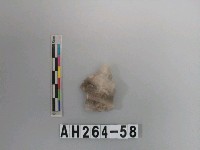 藏品(帶鋌打製石鏃)的圖片